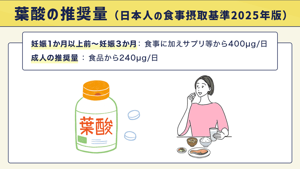 葉酸の推奨量（日本人の食事摂取基準2025年版）