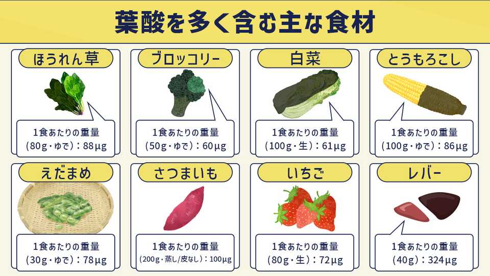 葉酸を多く含む主な食材