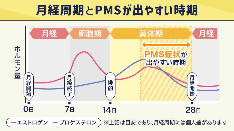 月経周期とpmsが出やすい時期