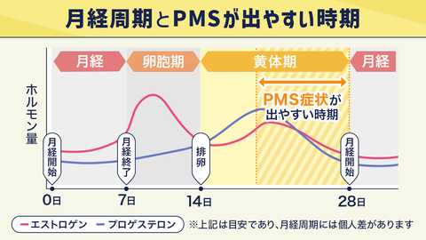PMS(月経前症候群)とは?生理前の症状への対処と治療について解説 - はじめよう プレコンセプションケア - こども家庭庁