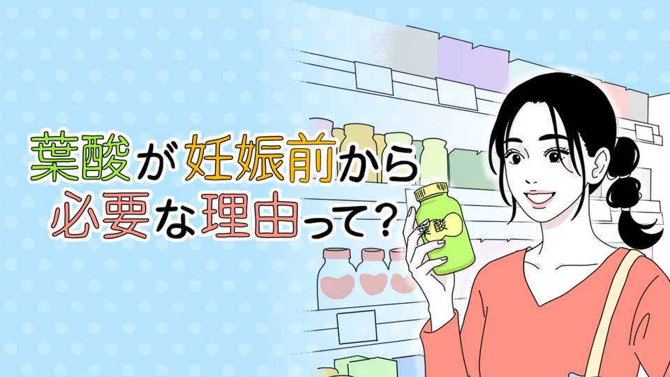 葉酸が妊娠前から必要な理由って？